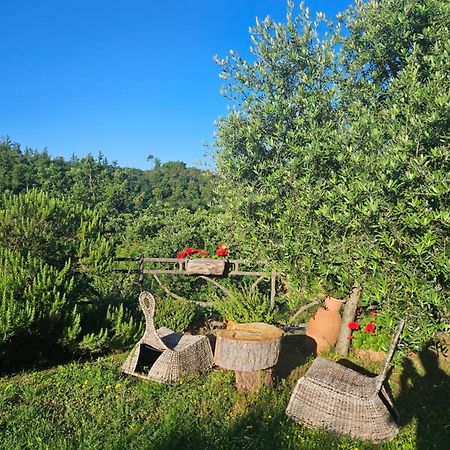 San Martino Country Villa B&B Барберино-ді-Муджелло Екстер'єр фото