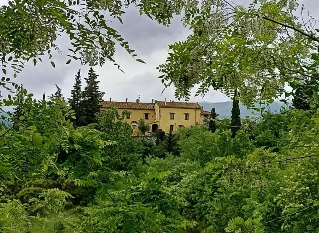 San Martino Country Villa B&B Барберино-ді-Муджелло Екстер'єр фото