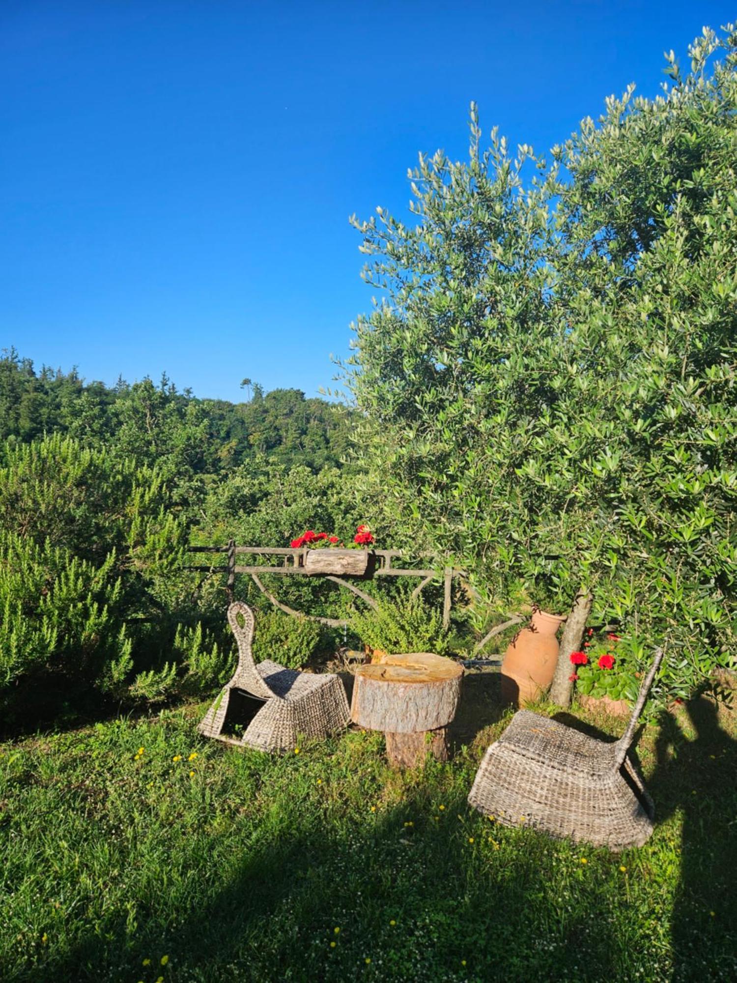 San Martino Country Villa B&B Барберино-ді-Муджелло Екстер'єр фото